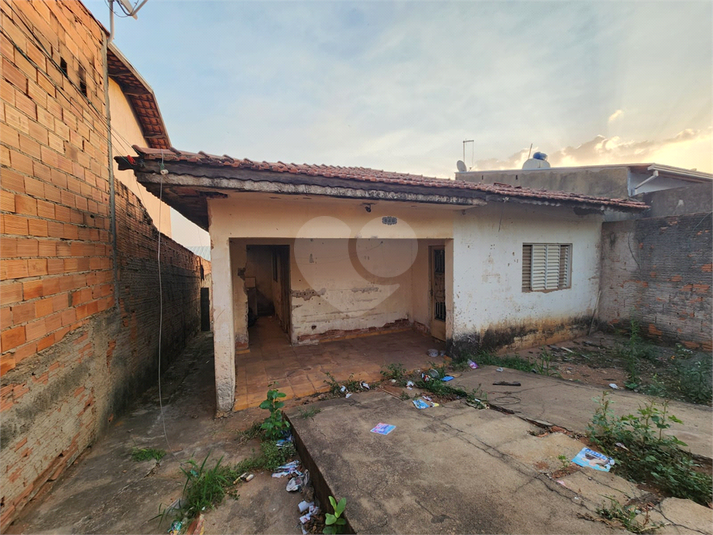 Foto REO1021537