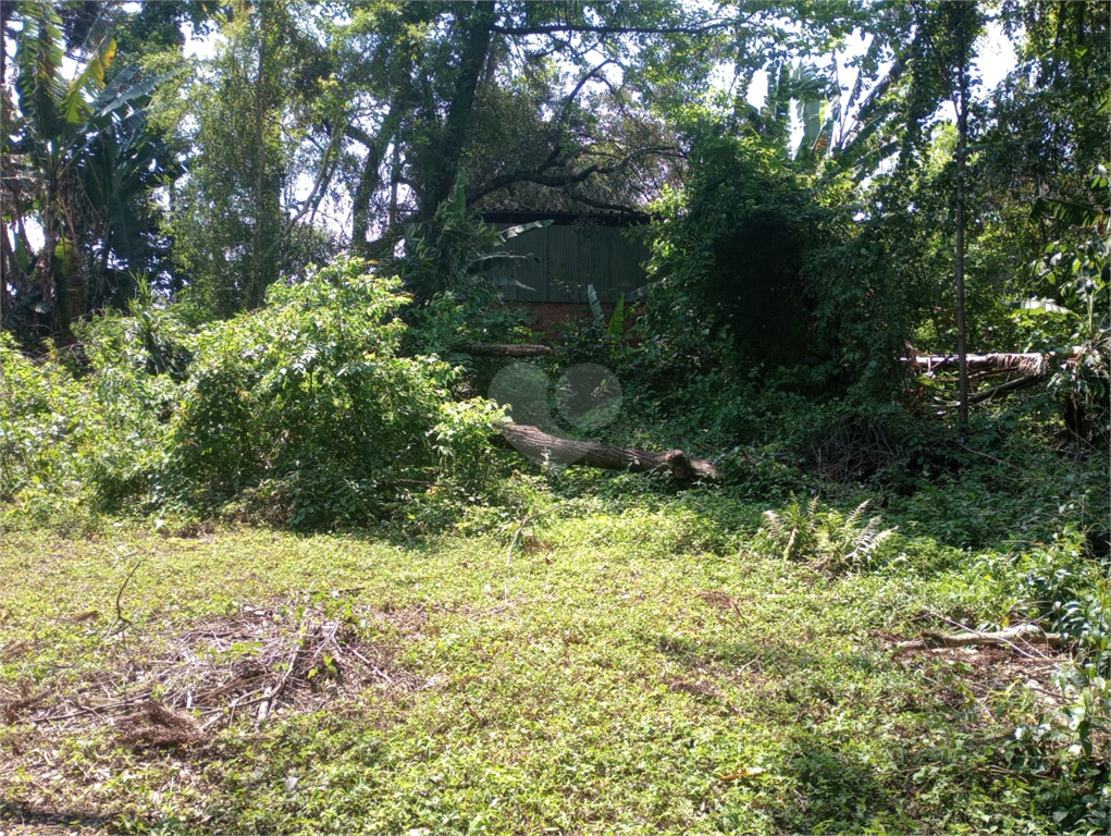 Venda Terreno Curitiba Cajuru REO1021608 10