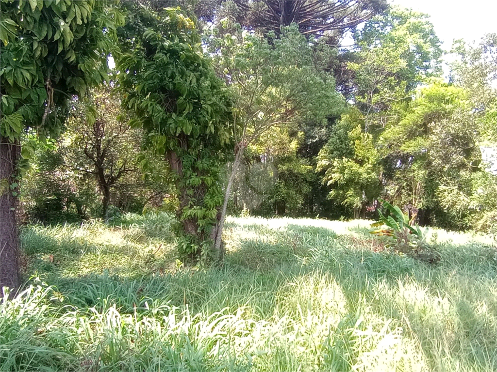 Venda Terreno Curitiba Cajuru REO1021608 5