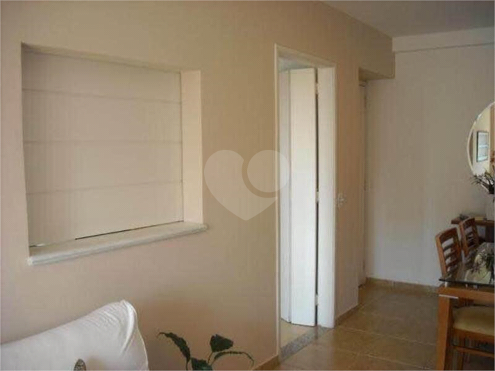 Foto REO1021667