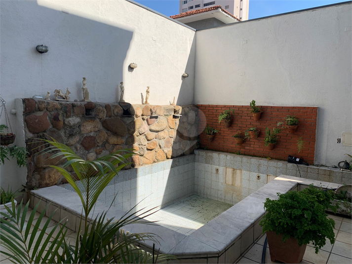 Foto REO1021682