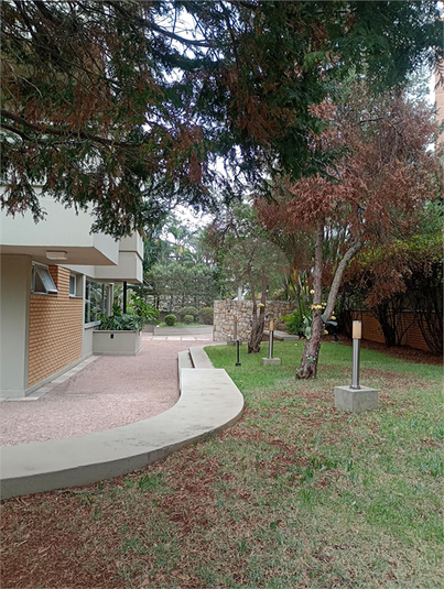 Foto REO1021749