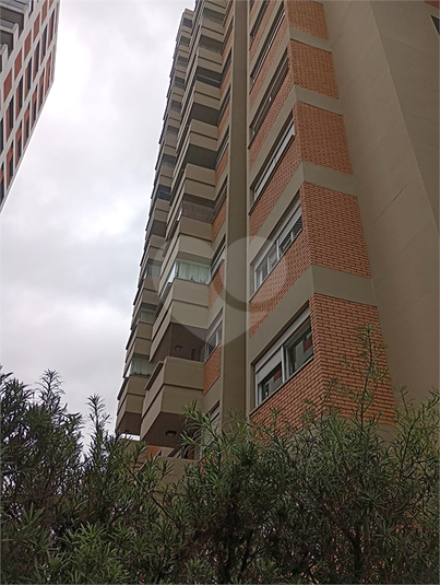 Foto REO1021749