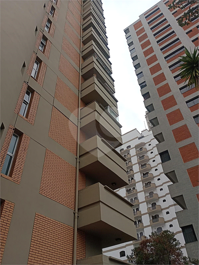 Foto REO1021749