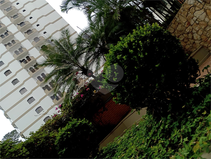 Foto REO1021749