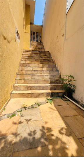 Foto REO1021950