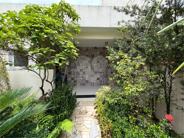 Foto REO1022067