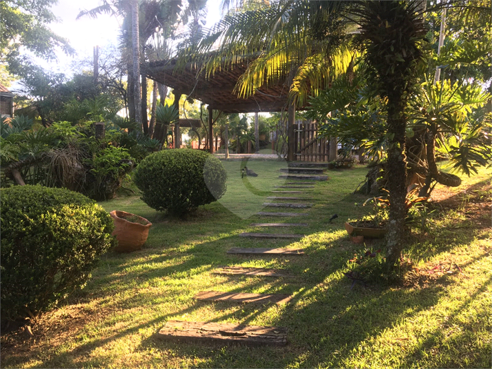 Foto REO1022284