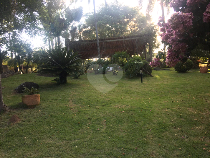 Foto REO1022284