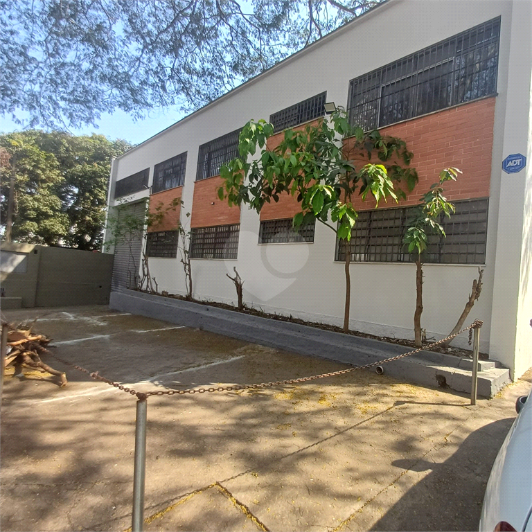 Aluguel Prédio inteiro São Paulo Vila Paulista REO1022293 1