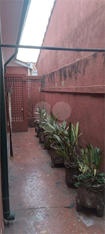 Venda Casa São Paulo Água Fria REO1022377 19