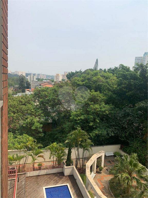 Venda Apartamento São Paulo Jardim Monte Kemel REO1022380 14