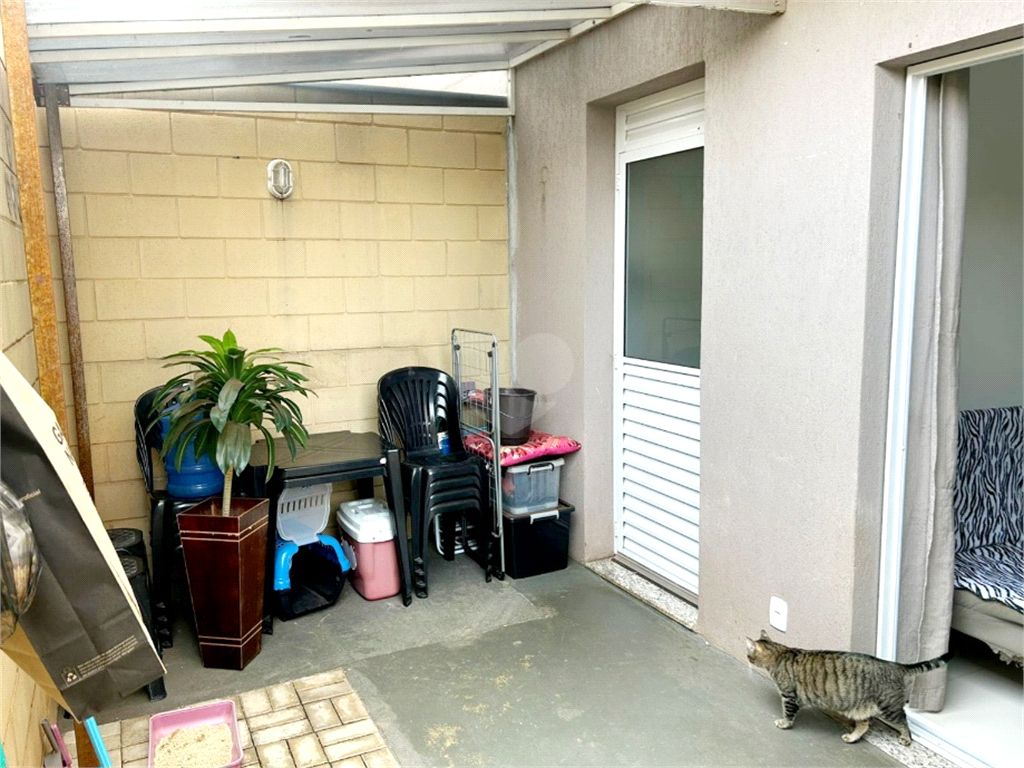 Venda Apartamento Ribeirão Preto Jardim Manoel Penna REO1022390 15