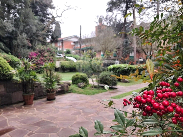 Foto REO1022462
