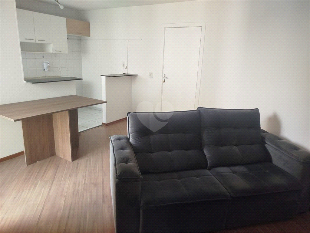 Aluguel Apartamento São Paulo Jardim Marajoara REO1022785 2