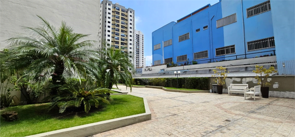 Aluguel Apartamento São Paulo Vila Leopoldina REO1022838 30