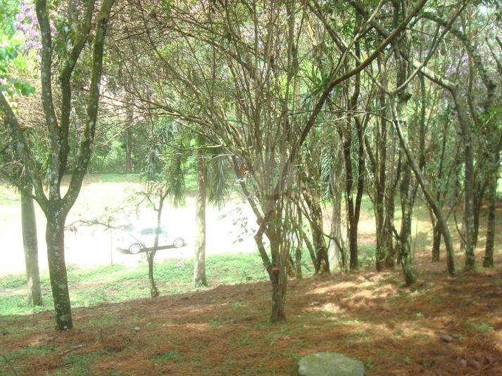 Foto REO102309