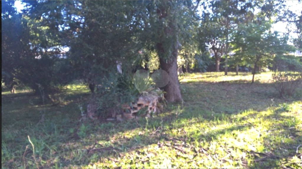 Venda Terreno Curitiba Hauer REO1023090 11