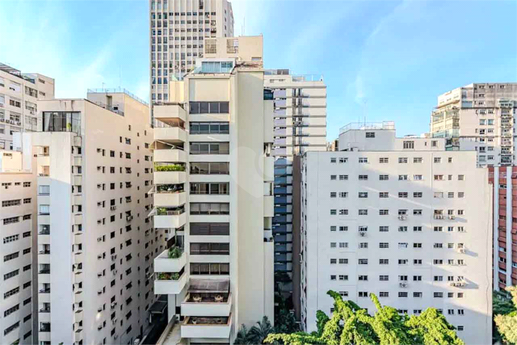 Aluguel Apartamento São Paulo Cerqueira César REO1023102 5