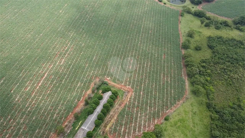 Venda Terreno Cesário Lange Centro REO1023304 5