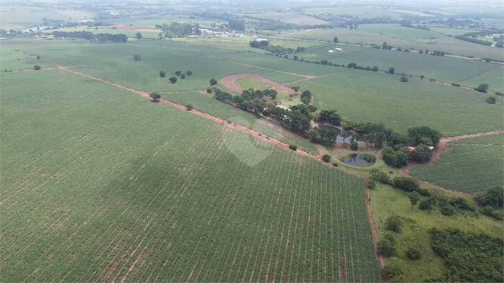 Venda Terreno Cesário Lange Centro REO1023304 8