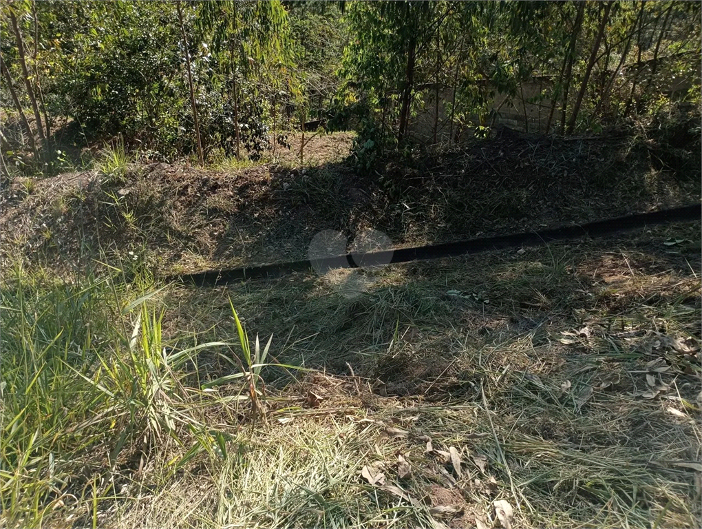 Venda Loteamento Várzea Paulista Chácaras Aracary REO1023371 15