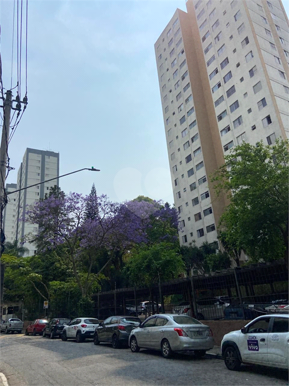 Aluguel Apartamento São Paulo Vila Irmãos Arnoni REO1023441 2