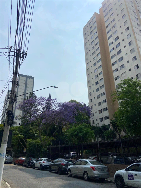 Aluguel Apartamento São Paulo Vila Irmãos Arnoni REO1023441 1