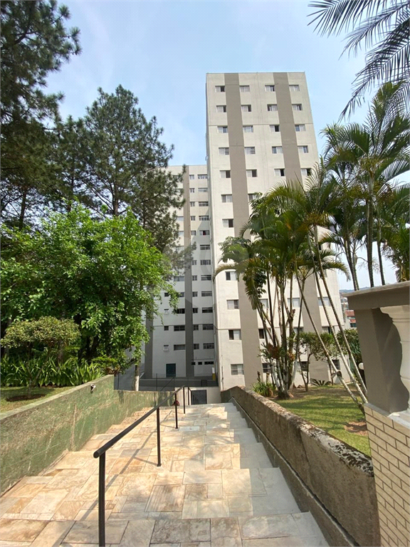 Aluguel Apartamento São Paulo Tucuruvi REO1023443 46