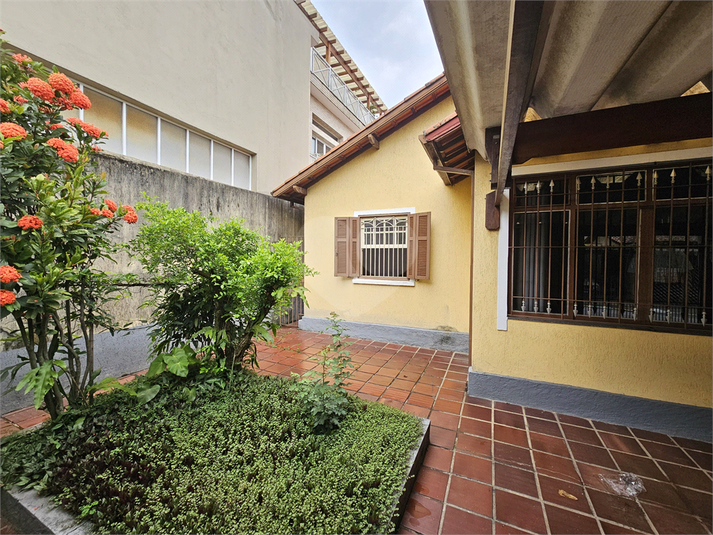 Foto REO1023448