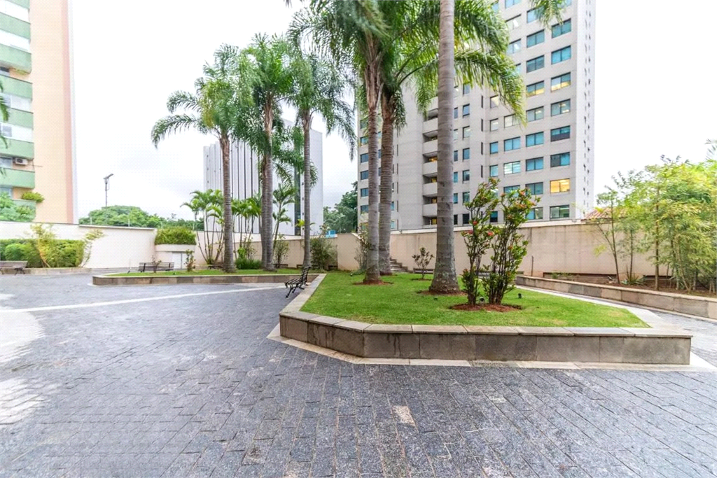 Aluguel Apartamento São Paulo Alto De Pinheiros REO1023457 4