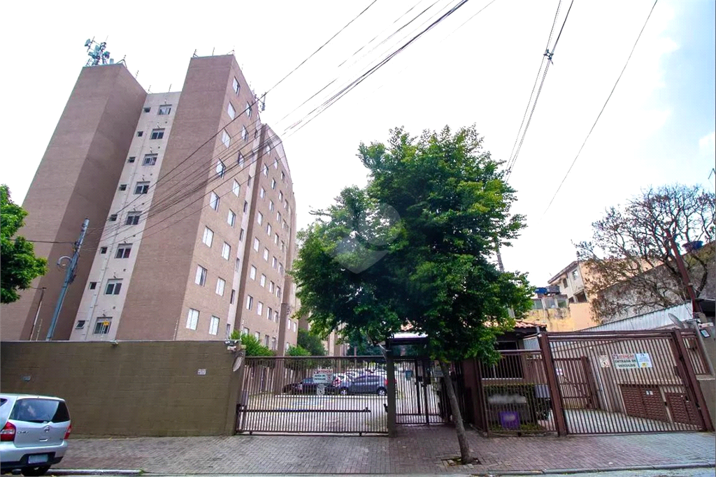 Venda Apartamento São Paulo Jardim Guairaca REO1023499 1