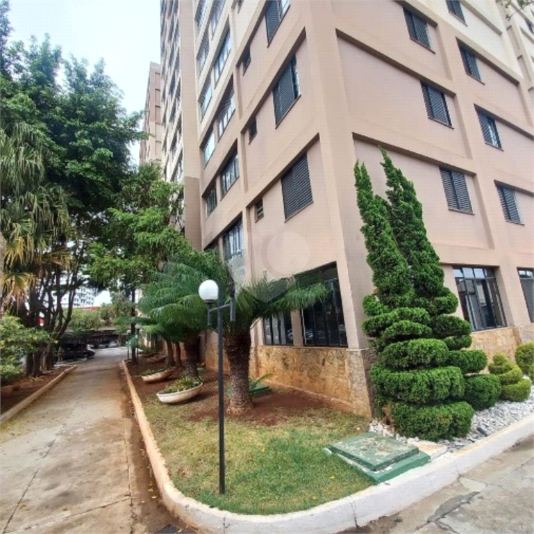 Venda Apartamento São Paulo Brás REO1023705 3