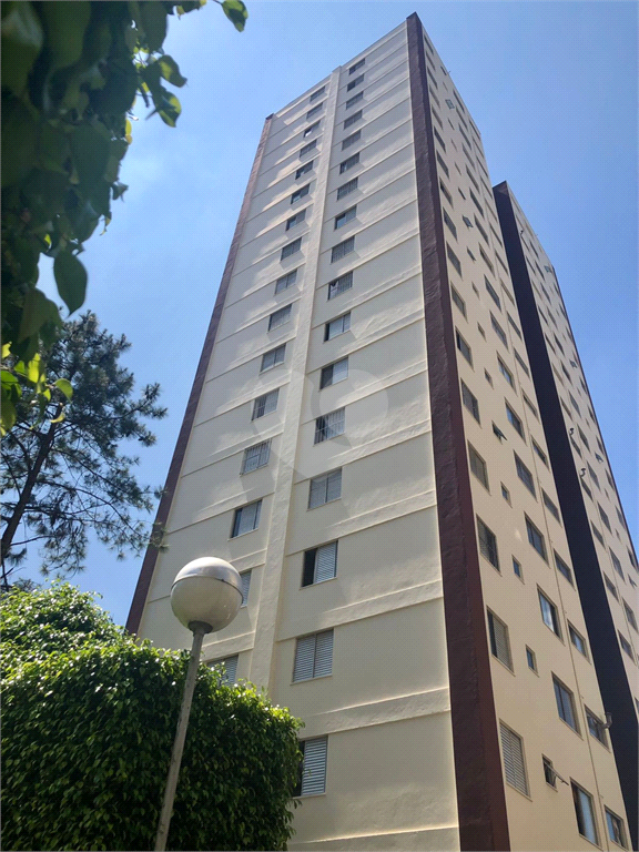 Venda Apartamento São Paulo Jardim Peri REO1023787 16