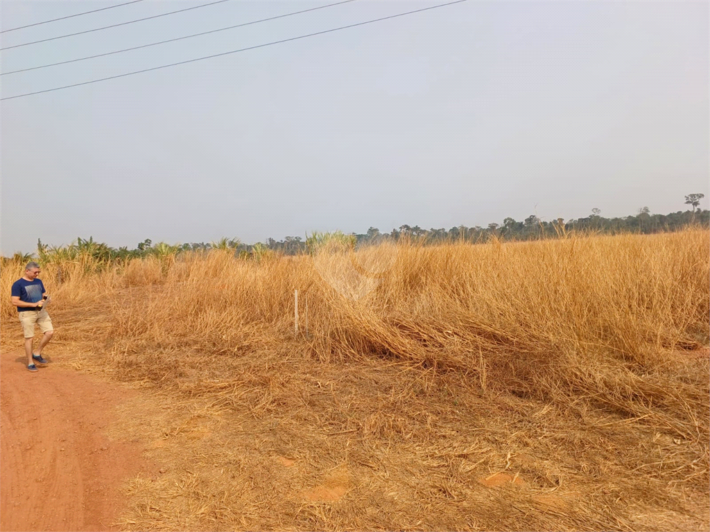 Venda Chácara Sinop Área Rural De Sinop REO1023875 3