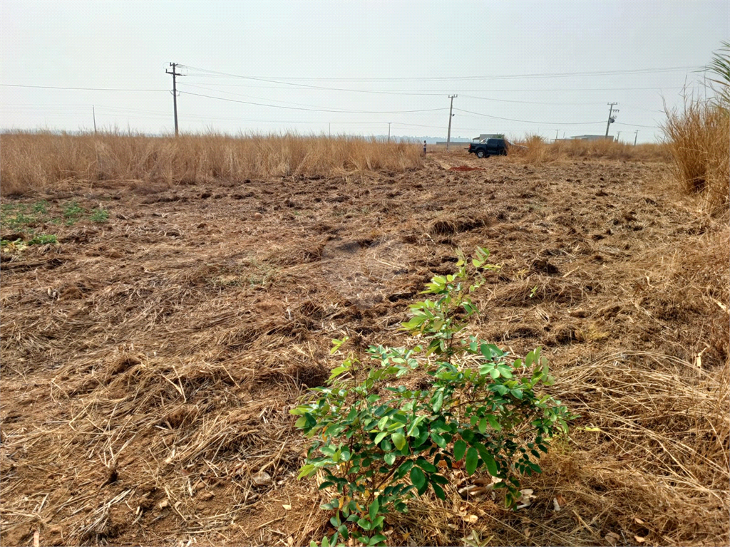 Venda Chácara Sinop Área Rural De Sinop REO1023875 1