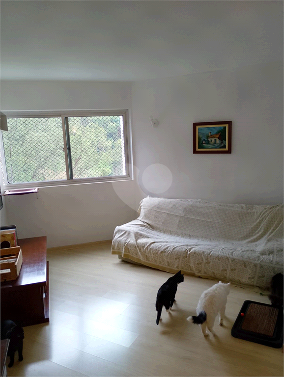 Venda Apartamento São Paulo Jardim Olympia REO1023965 2