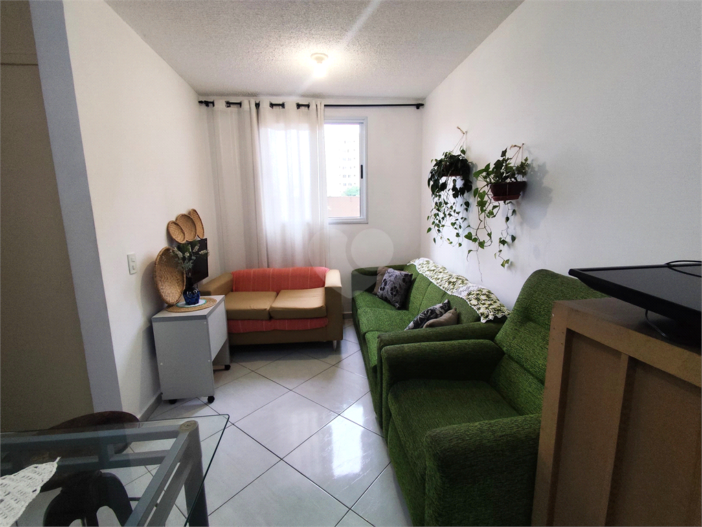 Venda Apartamento São Paulo Jardim Guairaca REO1024015 5