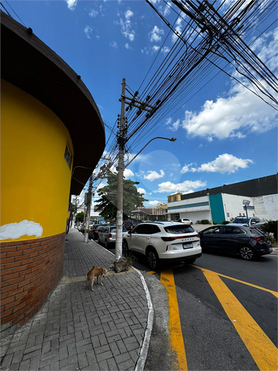 Foto REO1024091