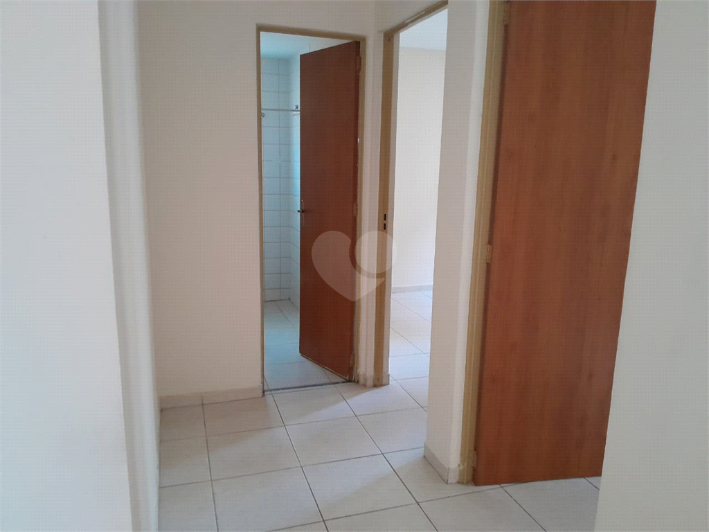 Aluguel Apartamento Sorocaba Jardim Novo Horizonte REO1024165 14