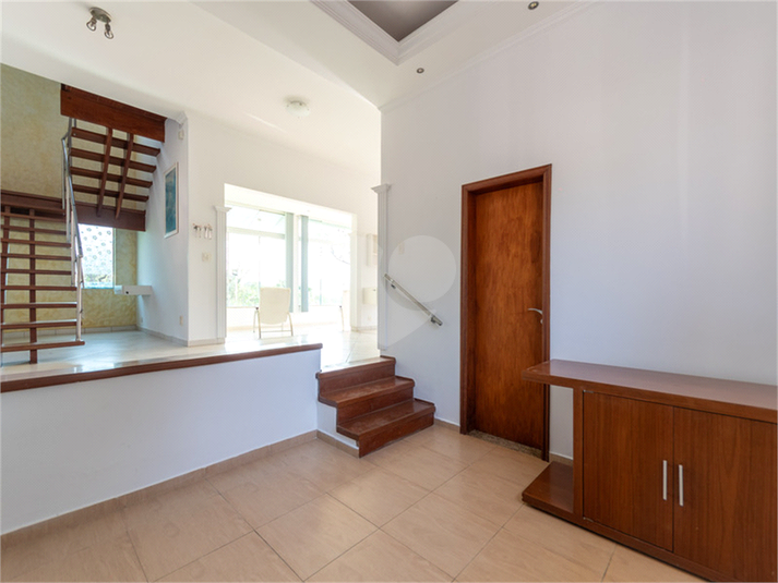 Foto REO1024267