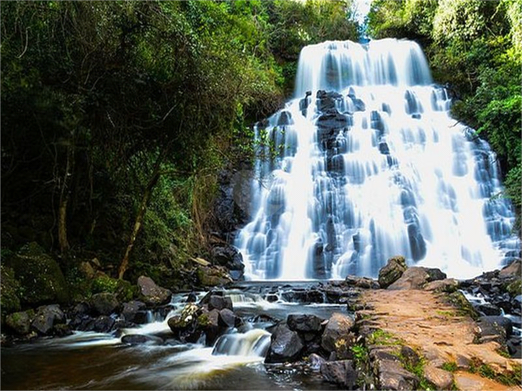 Venda Terreno Águas De Santa Bárbara Área Rural De Águas De Santa Bárbara REO1024384 14