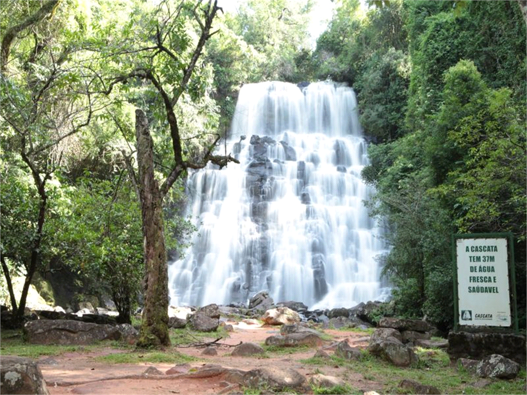 Venda Terreno Águas De Santa Bárbara Área Rural De Águas De Santa Bárbara REO1024384 12