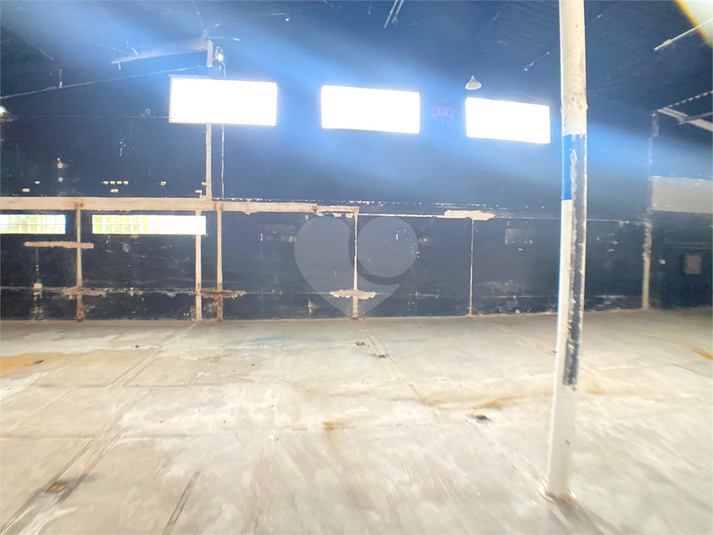 Foto REO1024489