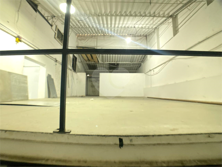 Foto REO1024489