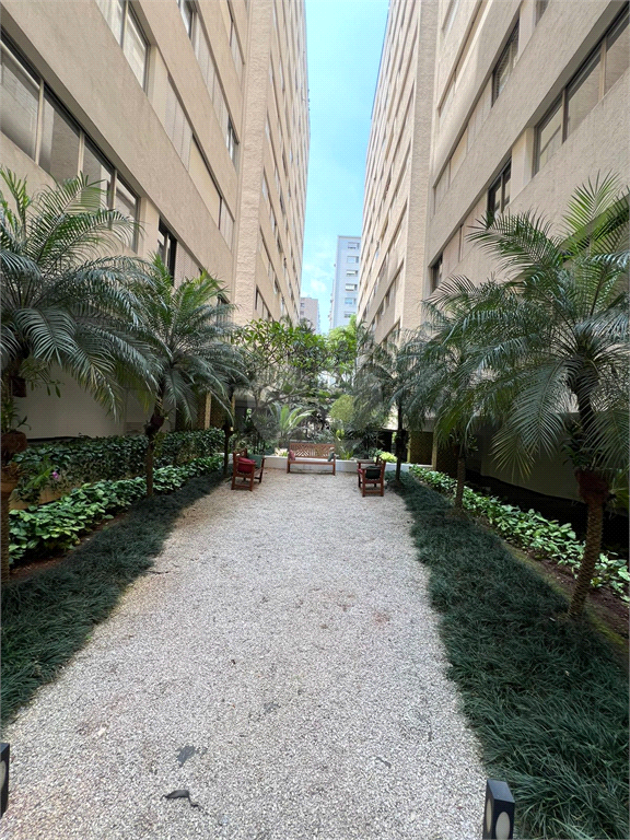 Aluguel Apartamento São Paulo Cerqueira César REO1024516 20