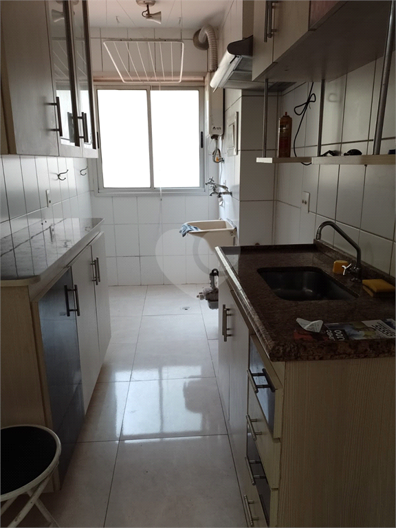 Aluguel Apartamento São Paulo Jardim Íris REO1024519 4