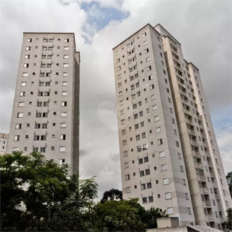 Aluguel Apartamento São Paulo Jardim Íris REO1024519 1