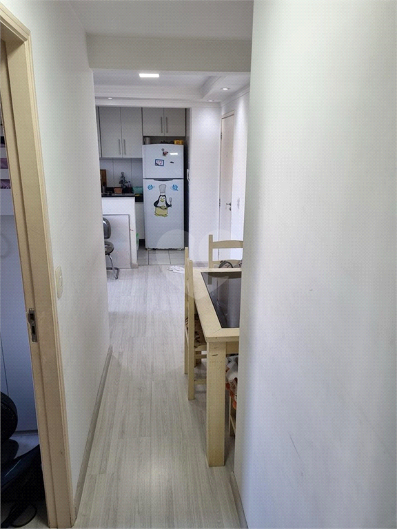 Venda Apartamento São Paulo Jardim Paris REO1024595 5