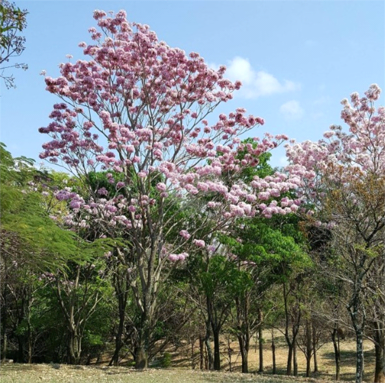 Venda Condomínio Sorocaba Aparecidinha REO1024652 27